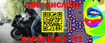 jwh Владимир
