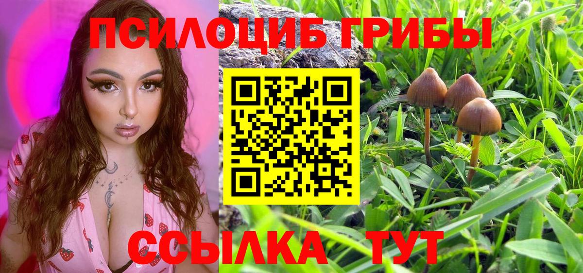 Галлюциногенные грибы MAGIC MUSHROOMS  Вход с VPN  Донецк  Галлюциногенные грибы прущие грибы 