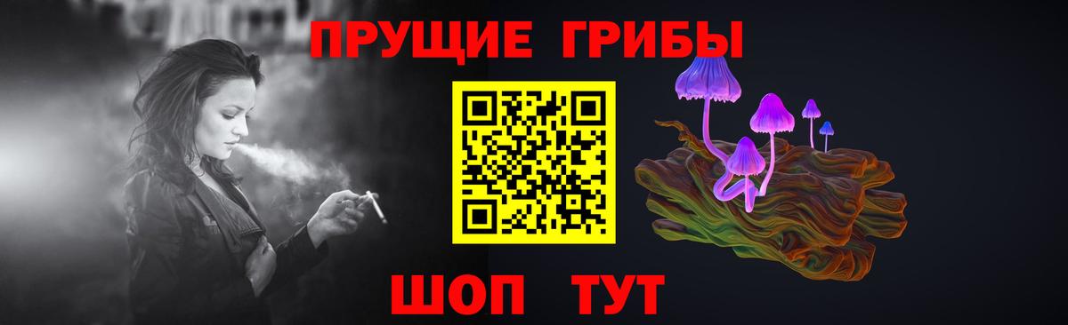 Галлюциногенные грибы Psilocybine cubensis Донецк